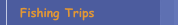 Fishing Trips