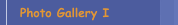 Photo Gallery I