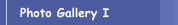 Photo Gallery I